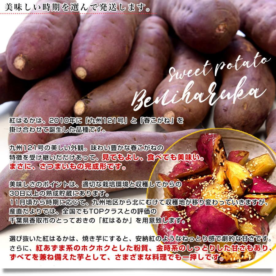 千葉県産 JAかとり 紅はるか Lサイズ 約2.5キロ 7本前後 送料 千葉県産 JAかとり 紅はるか Lサイズ 約2.5キロ 7本前後 送料