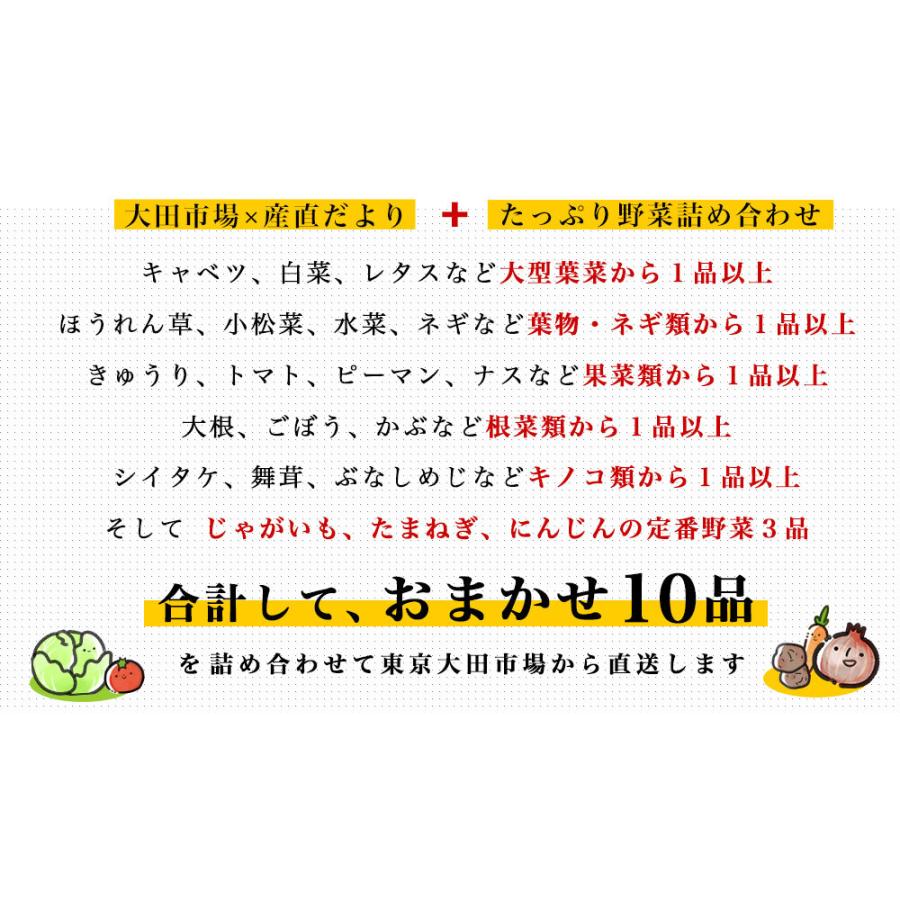 国産おまかせ野菜１０品セット※キャベツ、レタス、ほうれん草、小松菜、きゅうり、トマト、ナス、大根、ごぼう、じゃがいも、たまねぎ、にんじんなど｜sanchokudayori｜04