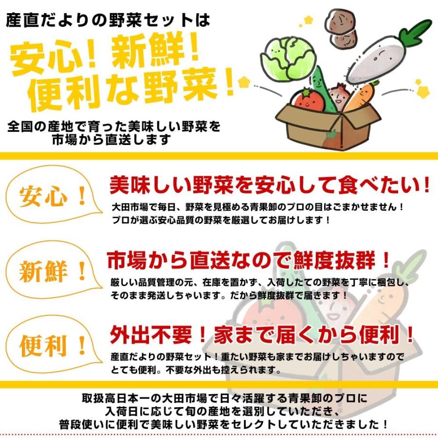 国産おまかせ野菜１０品セット※キャベツ、レタス、ほうれん草、小松菜、きゅうり、トマト、ナス、大根、ごぼう、じゃがいも、たまねぎ、にんじんなど｜sanchokudayori｜05