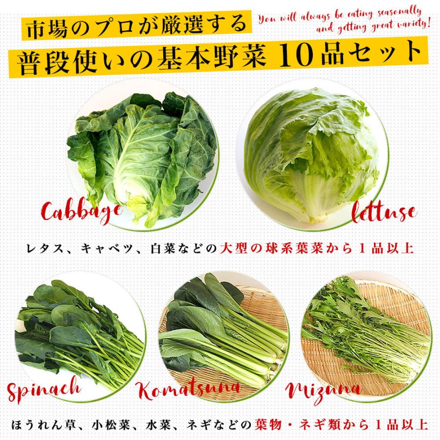 国産おまかせ野菜１０品セット※キャベツ、レタス、ほうれん草、小松菜、きゅうり、トマト、ナス、大根、ごぼう、じゃがいも、たまねぎ、にんじんなど｜sanchokudayori｜06