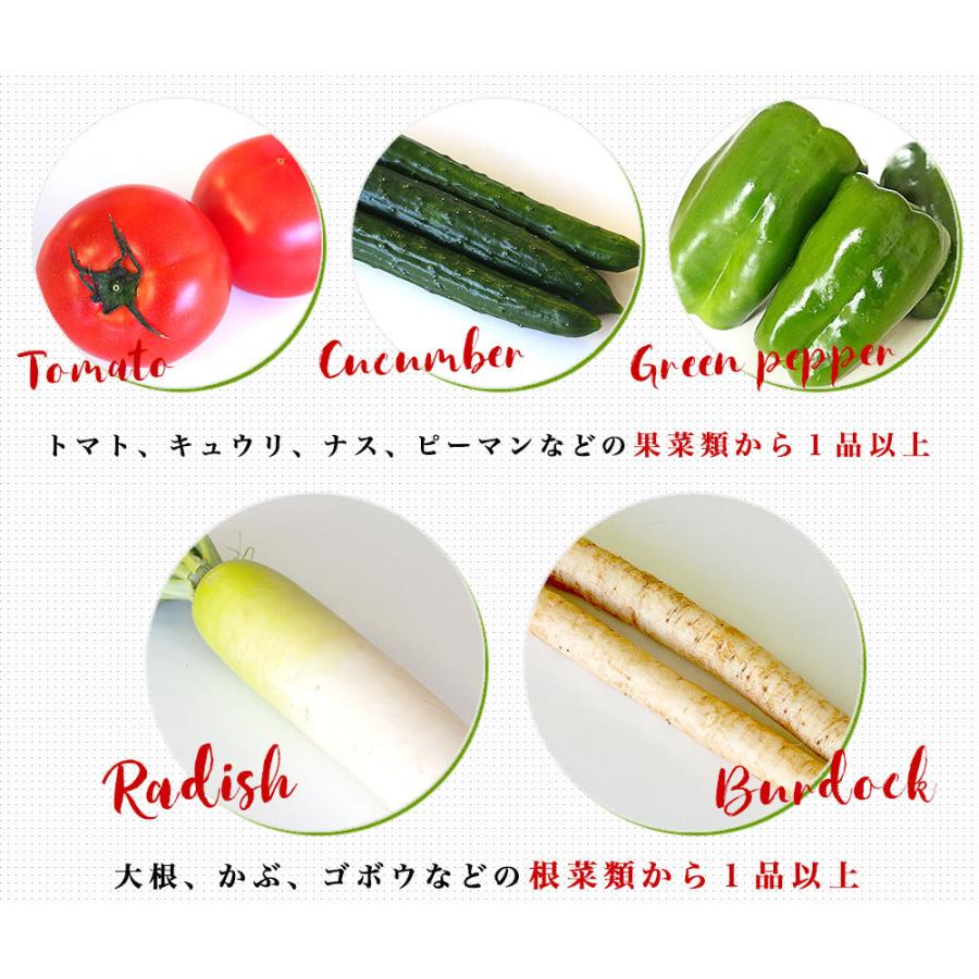 国産おまかせ野菜１０品セット※キャベツ、レタス、ほうれん草、小松菜、きゅうり、トマト、ナス、大根、ごぼう、じゃがいも、たまねぎ、にんじんなど｜sanchokudayori｜07