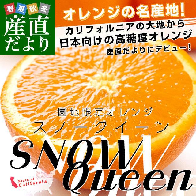カリフォルニア産 オレンジ Snow Queen スノークイーン 2箱セット 約2キロ 2箱