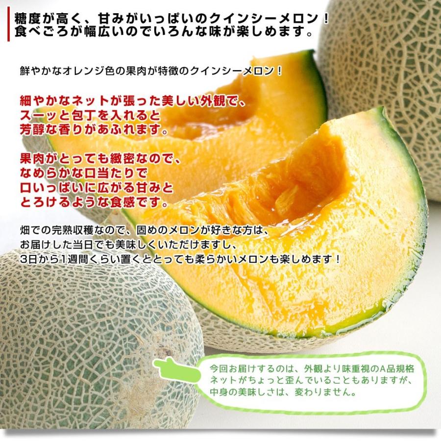 茨城県産 Ja茨城旭村 クインシーメロン 4lから2lサイズ 5キロ箱 3玉から5玉 送料無料 市場スポット 産直だより 通販 Yahoo ショッピング