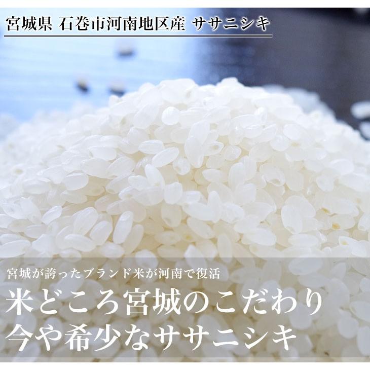 ササニシキ 令和5年産 宮城県産 JAいしのまき 河南地区 ＜新米