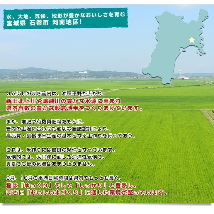 ササニシキ 令和5年産 宮城県産 JAいしのまき 河南地区 ＜新米＞ 10