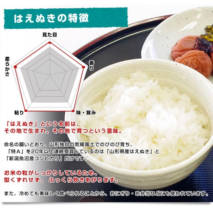 令和5年産　山形県産　JAおきたま ＜新米＞ はえぬき　10キロ（5キロ×2袋） 送料無料　お米　山形県米｜sanchokudayori｜07