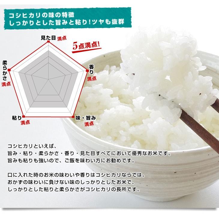 令和2年産 特a 新潟県 魚沼産 こしひかり 10キロ 5キロ 2袋 送料無料 お米 新潟県米 にいがた ニイガタ 2p 産直だより 通販 Yahoo ショッピング
