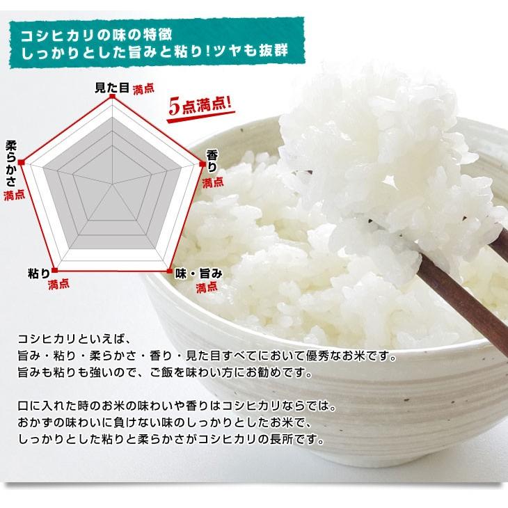 令和5年産　新潟県　魚沼産 ＜新米＞ こしひかり　10キロ（5キロ×2袋） 送料無料　お米　新潟県米　にいがた　ニイガタ｜sanchokudayori｜06