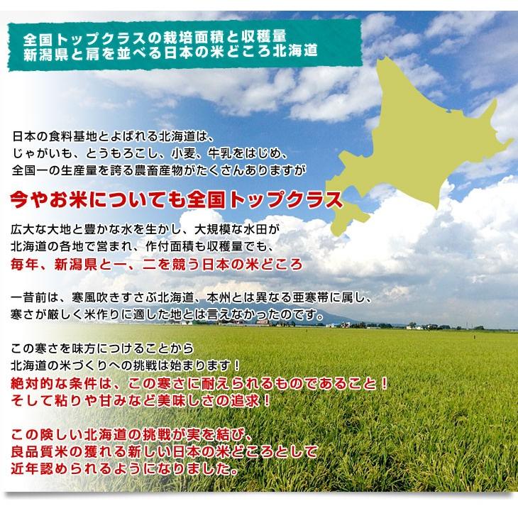令和4年産 北海道産 ゆめぴりか 10キロ 送料無料 お米 北海道米 |  | 05