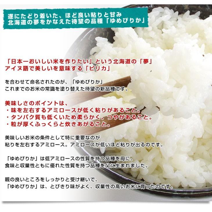 令和4年産 北海道産 ゆめぴりか 10キロ 送料無料 お米 北海道米 |  | 06