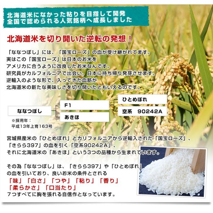 ななつぼし 令和6年産 北海道産 5キロ 送料無料 お米 北海道米 ななつぼし 令和6年産 北海道産 5キロ 送料無料 お米 北海道米