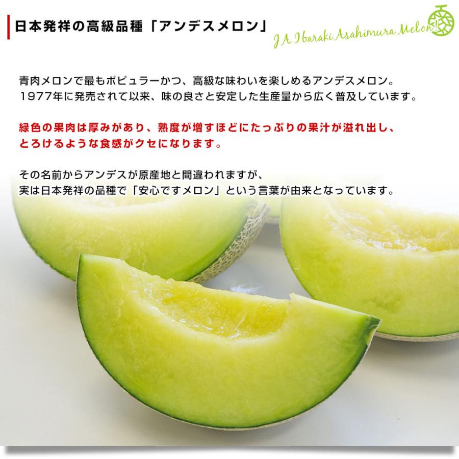 市場発送 Ja茨城旭村 アンデスメロン 青肉 特秀品 大玉3l 2玉セット 合計約2 5キロ 送料無料 めろん いばらき あさひ村 産直だより 通販 Yahoo ショッピング