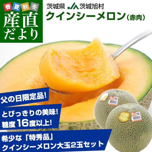 父の日ギフト 茨城県産 Ja茨城旭村 クインシーメロン 特秀品 大玉3l 2玉セット 合計約2 5キロ 父の日プレゼント 送料無料 市場発送 産直だより 通販 Yahoo ショッピング