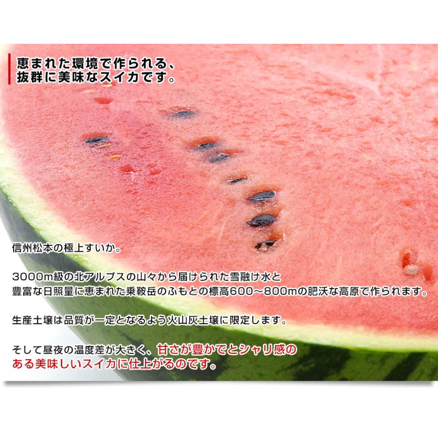 長野県産 Ja松本ハイランド 大玉スイカ 秀品 3lから4lサイズ 8キロ以上 1玉入り 送料無料 西瓜 すいか 市場発送 産直だより 通販 Yahoo ショッピング