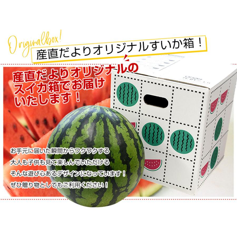 毎日がバーゲンセール 松本ハイランドすいか 秀品 5l 1玉 長野産 高原スイカ 西瓜 お中元 夏ギフト 食品 フルーツ 果物 スイカ 送料無料 Qdtek Vn