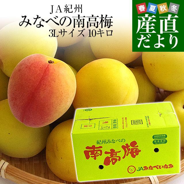 95%以上節約 和歌山県産 JA紀州 みなべの南高梅 3Lサイズ 10キロ 梅 梅干 梅干し 梅酒 梅サワー 梅ジャム 市場発送 95%以上節約 和歌山県産 JA紀州 みなべの南高梅 3Lサイズ 10キロ 梅 梅干 梅干し 梅酒 梅サワー 梅ジャム 市場発送