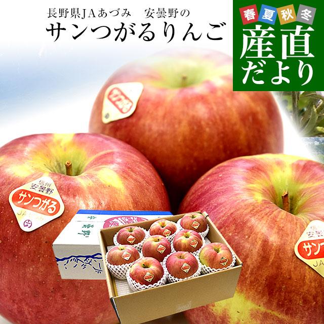 長野県産 JAあづみ 安曇野 サンつがるりんご 優品以上 約3キロ 大玉（8