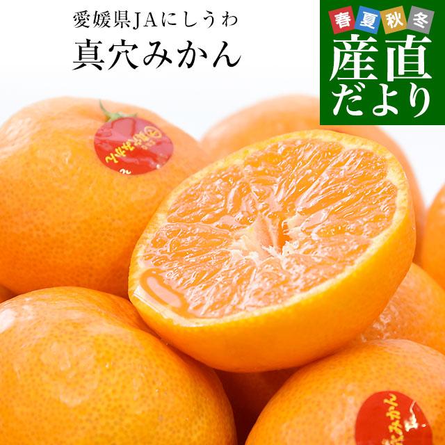 【お歳暮 ギフト】愛媛県産 JAにしうわ 真穴みかん 約2.8キロ(1.4キロ×2袋) LからSサイズ 送料無料 ミカン 蜜柑  愛媛みかん　市場発送