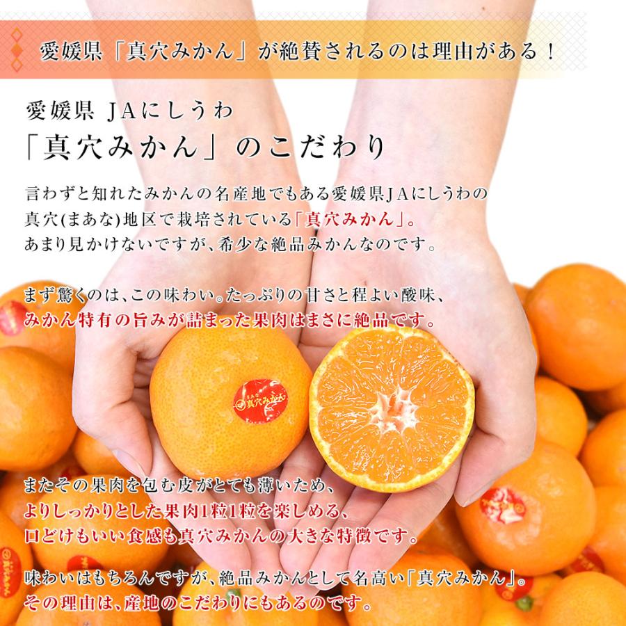 愛媛県 JAにしうわ 真穴みかん 約2.8キロ(1.4キロ×2袋) SからSS 愛媛県 JAにしうわ 真穴みかん 約2.8キロ(1.4キロ×2袋) SからSS