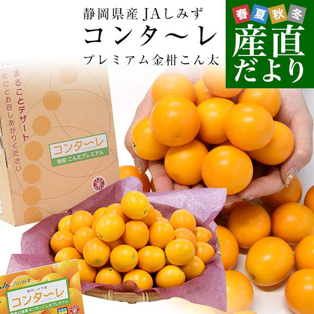 静岡県 JAしみず 金柑「コンターレ」赤秀品 約1キロ 3Lサイズ以上 送料