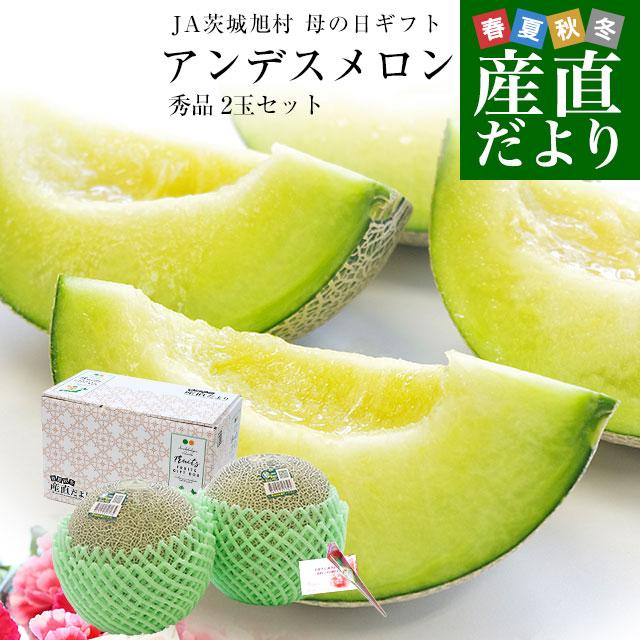 【母の日ギフト】茨城県産 JA茨城旭村 アンデスメロン 秀品 2玉セット (合計約2キロ) 2Lサイズ 送料無料 青肉 めろん 爆買（Yahoo!・産直だより）