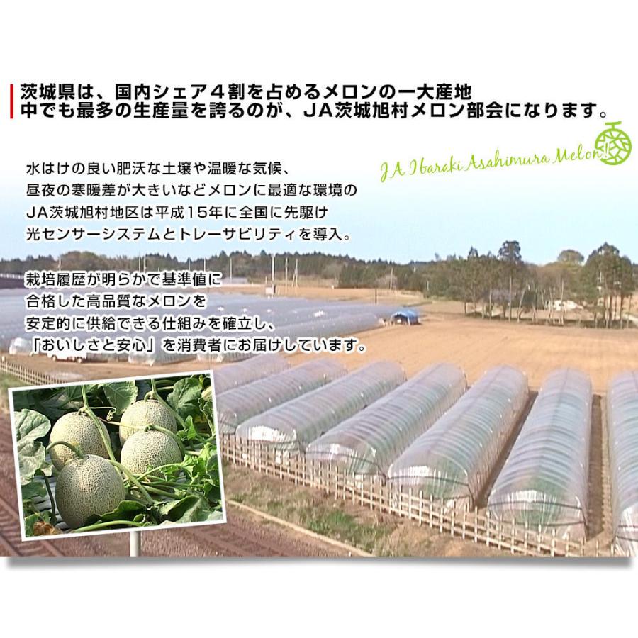 【遅れてごめんね】母の日ギフト 茨城県産 JA茨城旭村 アンデスメロン 秀品 2玉セット (合計約2キロ) 2Lサイズ 送料無料 青肉 めろん｜sanchokudayori｜05