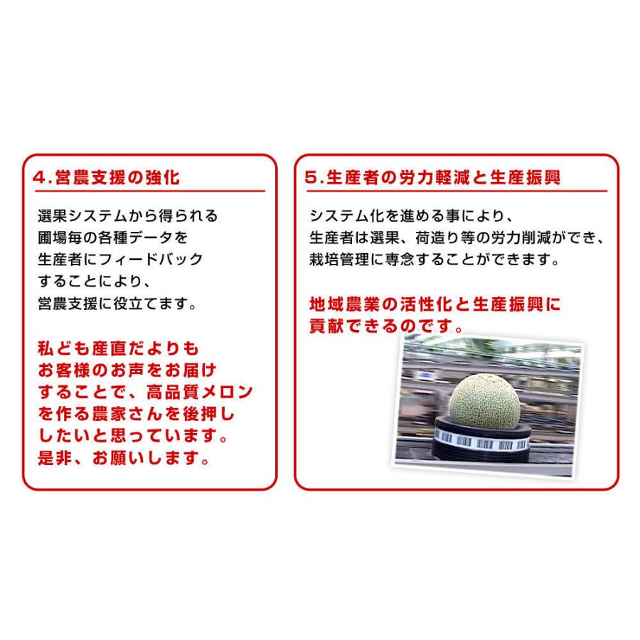 母の日ギフト 茨城県産 JA茨城旭村 アンデスメロン 秀品 2玉 母の日ギフト 茨城県産 JA茨城旭村 アンデスメロン 秀品 2玉
