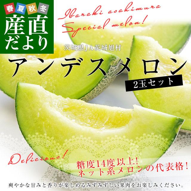 茨城県産 JA茨城旭村 アンデスメロン 秀品 2玉入り (合計約2キロ) 2Lサイズ 送料無料 青肉 めろん メロン｜sanchokudayori｜02