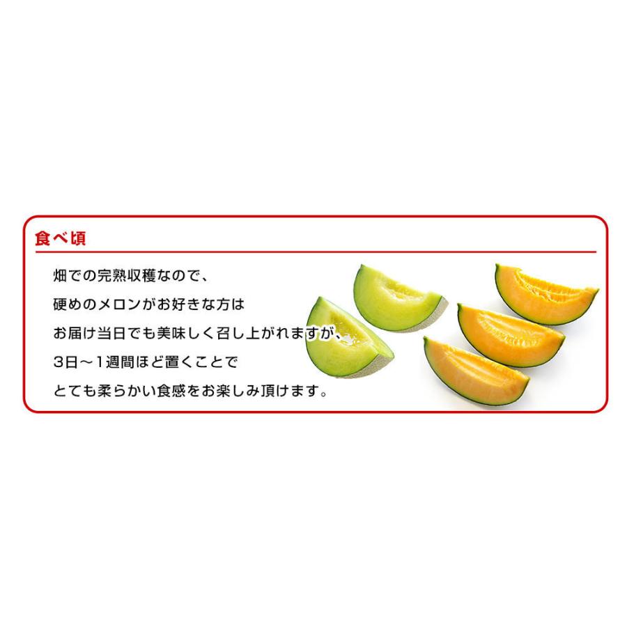 茨城県産 JA茨城旭村 アンデスメロン＆クインシーメロン 秀品 2