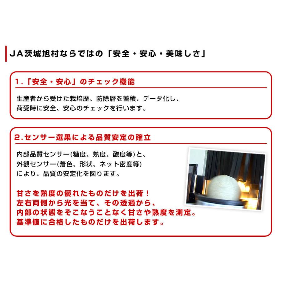 茨城県産 JA茨城旭村 クインシーメロン 秀品 2玉セット (合計約2キロ) 2Lサイズ 送料無料 赤肉 めろん｜sanchokudayori｜06