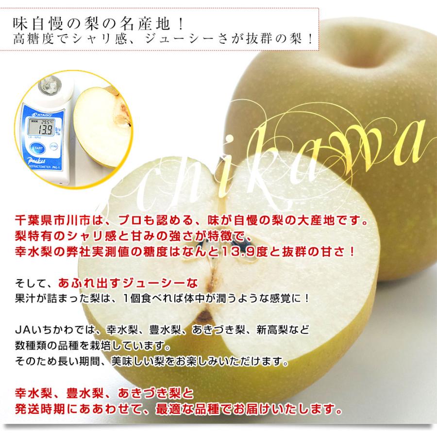 千葉県産 JAいちかわ 市川の梨 (柏井または市川中央支部)優品 千葉県産 JAいちかわ 市川の梨 (柏井または市川中央支部)優品