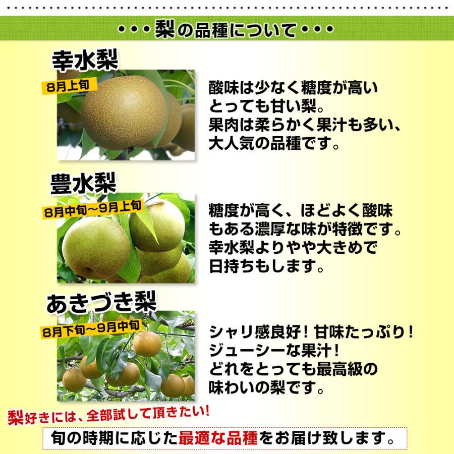千葉県産 JAいちかわ 市川の梨 (柏井または市川中央支部)優品 千葉県産 JAいちかわ 市川の梨 (柏井または市川中央支部)優品