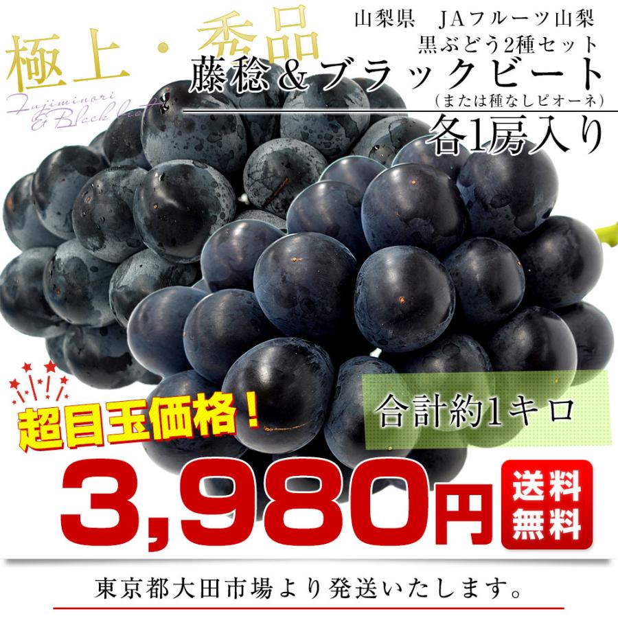 山梨県産 JAフルーツ山梨 藤稔(ふじみのり)＆ブラックビート（または種無しピオーネ） 各1房 合計約1キロ 送料無料 ぶどう 葡萄 黒ぶどう ぶどうセット｜sanchokudayori｜03