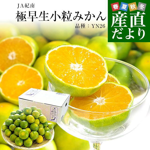 和歌山県 JA紀南 「紀南の極早生小粒みかん」品種：YN26 3Sサイズ 約3