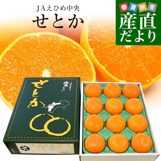 愛媛県産 JAえひめ中央 せとか 青〇品 化粧箱 4Lから2Lサイズ 約3キロ