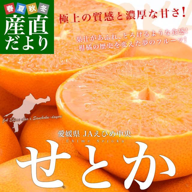 愛媛県産 JAえひめ中央 せとか 青秀品 化粧箱 2ＬからLサイズ 約3キロ（12玉から15玉） 送料無料 柑橘 オレンジ｜sanchokudayori｜02