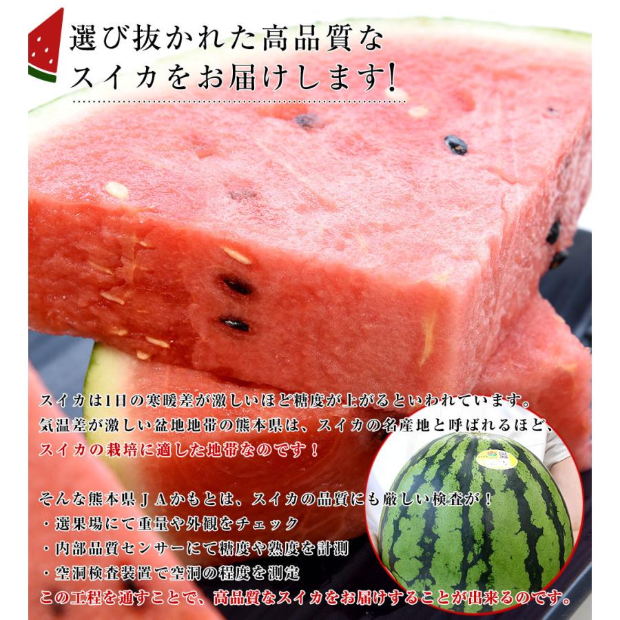 緊急スポット】熊本県 JAかもと 超大玉すいか 9キロ以上（1玉）4L