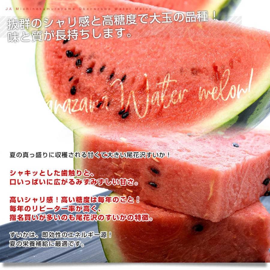 山形県産 Jaみちのく村山 尾花沢すいか A品 大玉5lサイズ以上 1玉 9キロ以上 西瓜 スイカ すいか 市場発送 産直だより 通販 Yahoo ショッピング