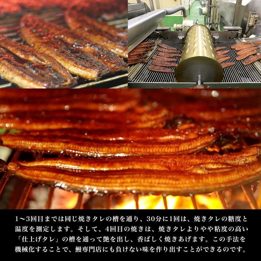 鹿児島県志布志産 山田水産 霧島湧水うなぎ 長蒲焼き 大サイズ4尾 