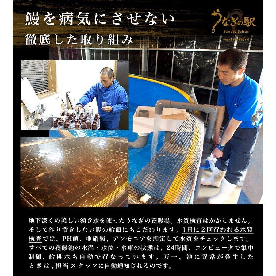 【父の日ギフト】ギフトにも最適！ 鹿児島県志布志産 山田水産 霧島湧水うなぎ 長蒲焼き 大サイズ4尾セット（140g前後×4尾）送料無料 ギフト 爆買 |  | 04