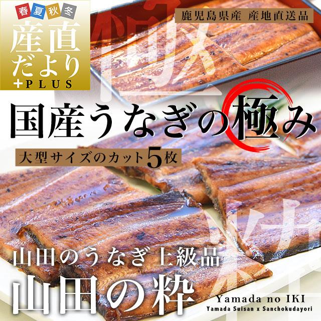 鹿児島県産　山田水産の極上国産うなぎ蒲焼「山田の粋（やまだのいき）」（大型サイズのカット真空80g×5枚）　鰻蒲焼 ウナギ お中元 御中元 夏ギフト |  | 01