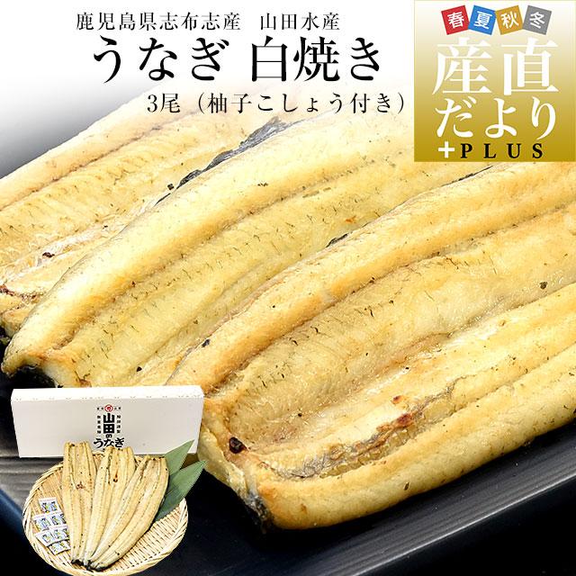 鹿児島県志布志産 山田水産のうなぎ 白焼き 160g前後×3尾詰め 鹿児島県志布志産 山田水産のうなぎ 白焼き 160g前後×3尾詰め