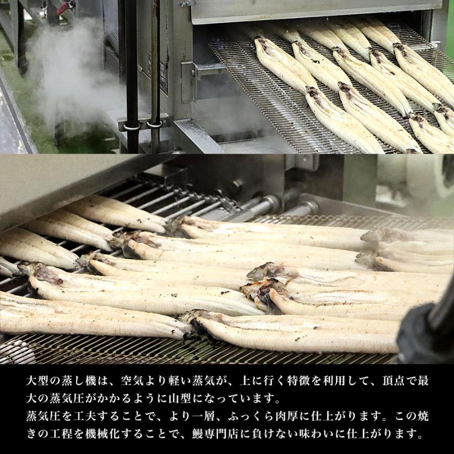 鹿児島県志布志産 山田水産のうなぎ 白焼き 160g前後×3尾詰め（柚子こしょう付き）送料無料  鰻 ウナギ 白焼き お中元 御中元 夏ギフト ギフト |  | 11