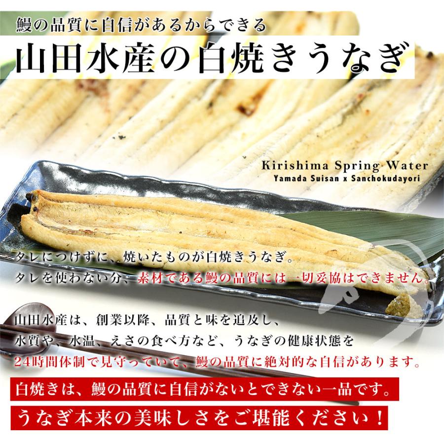 鹿児島県志布志産 山田水産のうなぎ 白焼き 160g前後×3尾詰め（柚子こしょう付き）送料無料  鰻 ウナギ 白焼き お中元 御中元 夏ギフト ギフト |  | 03