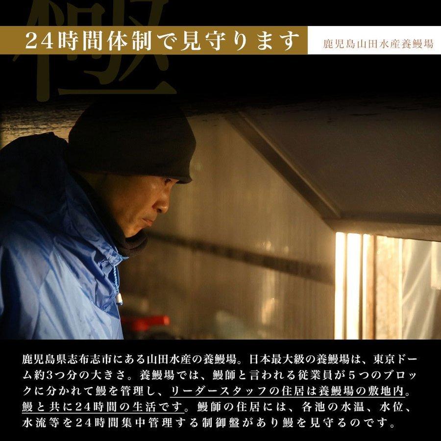 鹿児島県志布志産 山田水産のうなぎ 白焼き 160g前後×3尾詰め（柚子こしょう付き）送料無料  鰻 ウナギ 白焼き お中元 御中元 夏ギフト ギフト |  | 04