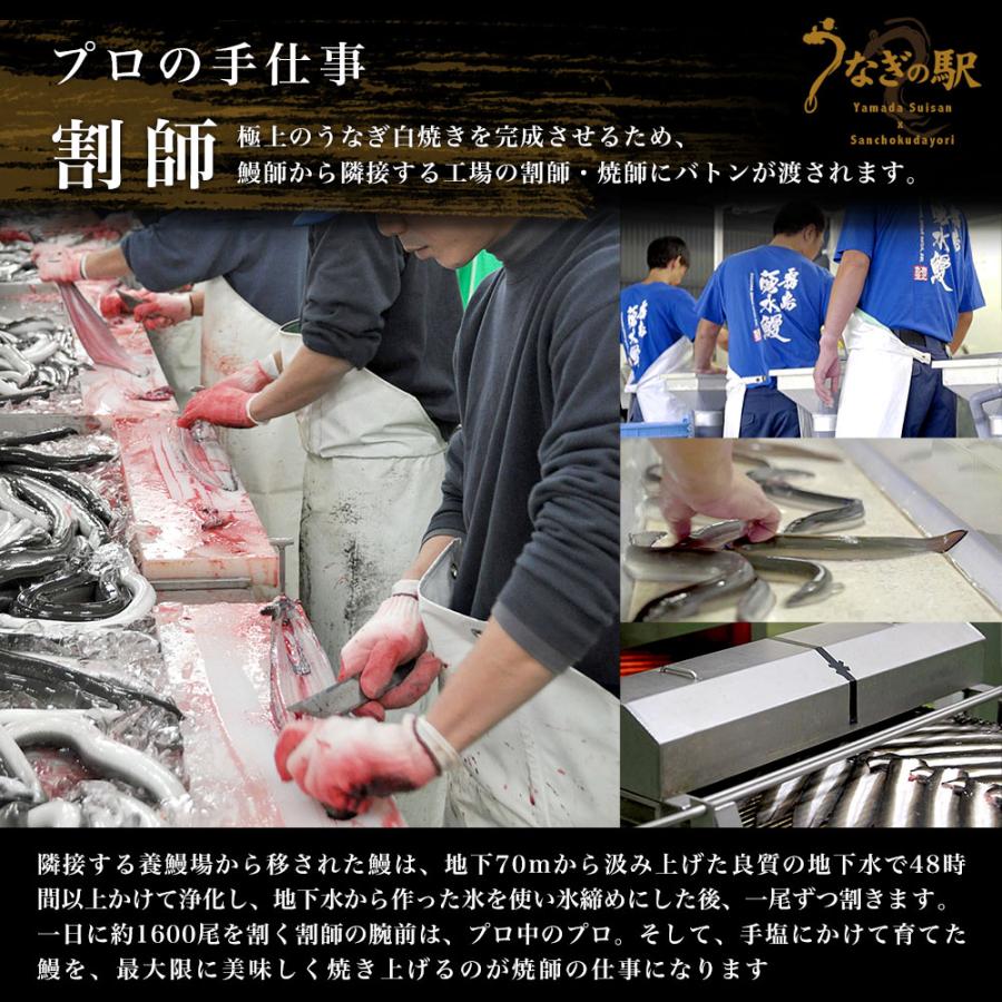 鹿児島県志布志産 山田水産のうなぎ 白焼き 160g前後×3尾詰め（柚子こしょう付き）送料無料  鰻 ウナギ 白焼き お中元 御中元 夏ギフト ギフト |  | 07