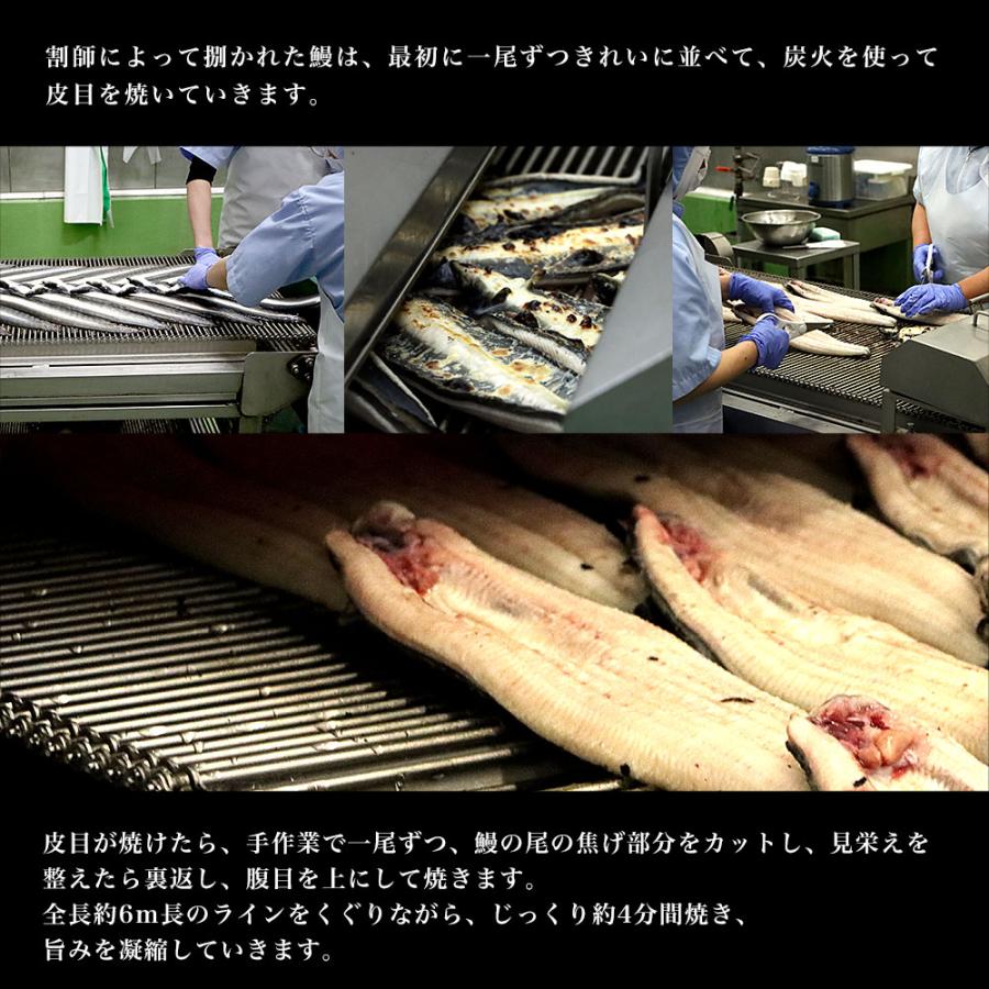 鹿児島県志布志産 山田水産のうなぎ 白焼き 160g前後×3尾詰め（柚子こしょう付き）送料無料  鰻 ウナギ 白焼き お中元 御中元 夏ギフト ギフト |  | 09