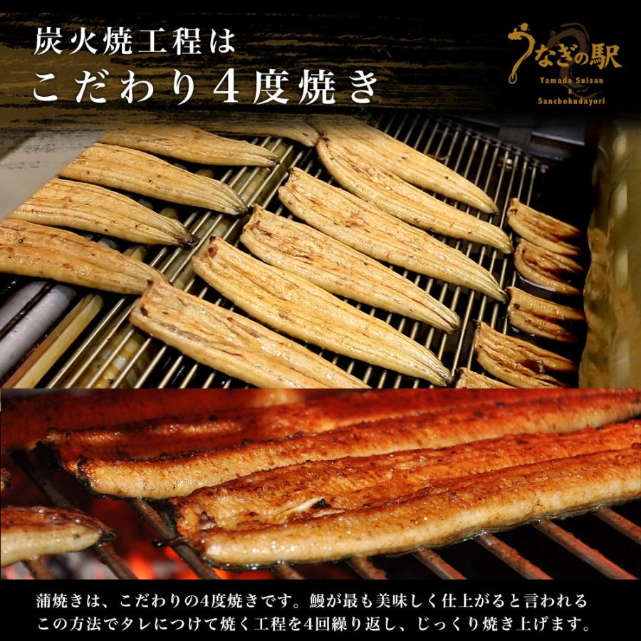 鹿児島県志布志産 山田水産の新仔うなぎ 長蒲焼き 大型160g前後×3尾 