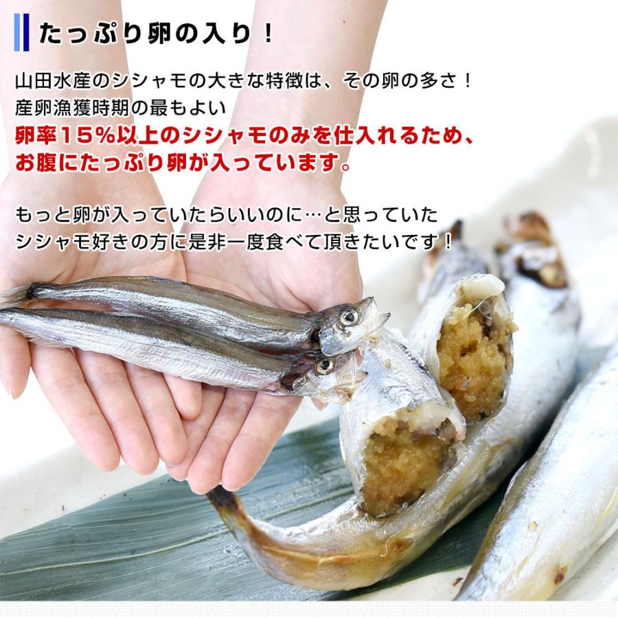 ししゃもさん専用 子持ちカラフトししゃも 大 アークスオンラインショップ Arcs Online Shop