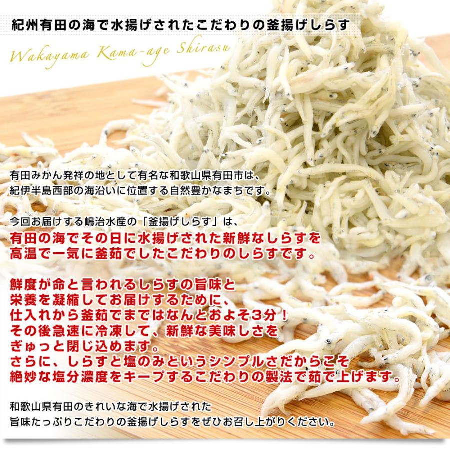 和歌山県より産地直送 釜揚げしらす 1キロ 100g 10p 冷凍便 送料無料 産直だよりplus うなぎの駅 通販 Yahoo ショッピング